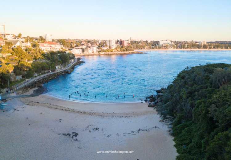 shelly beach northern beaches