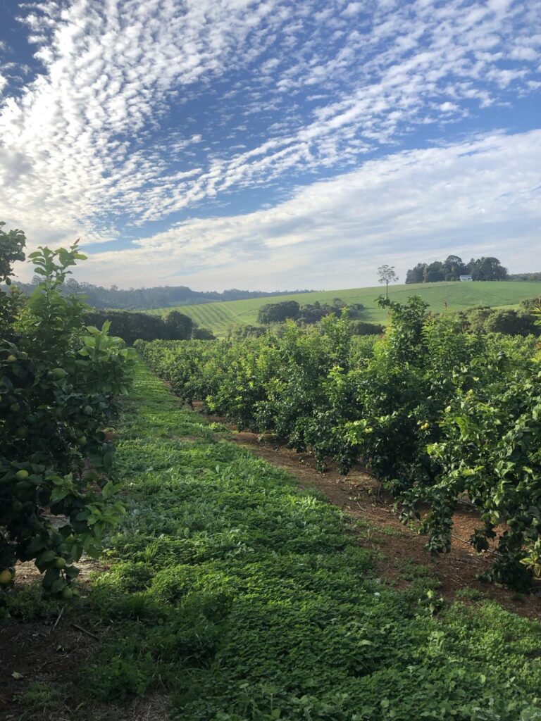 Farm work australien