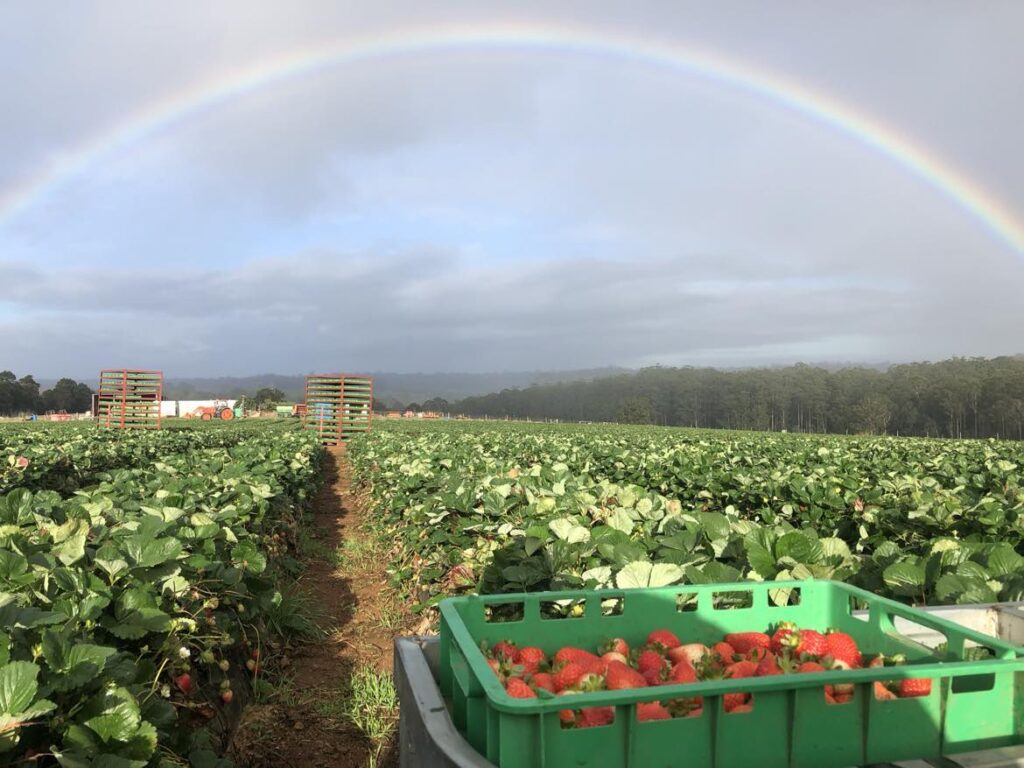 Farm work australien