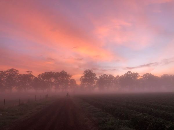 Farm work Australien – Allt du behöver veta